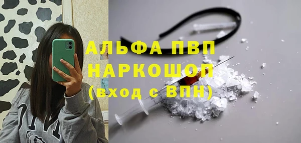 СК Балахна