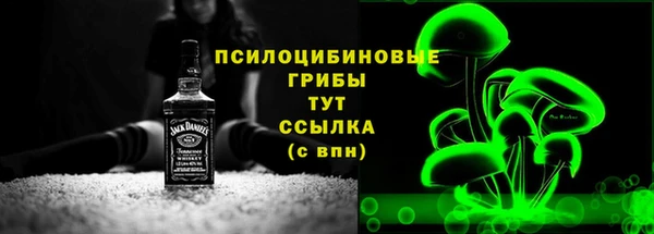 СК Балахна