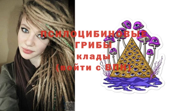 СК Балахна
