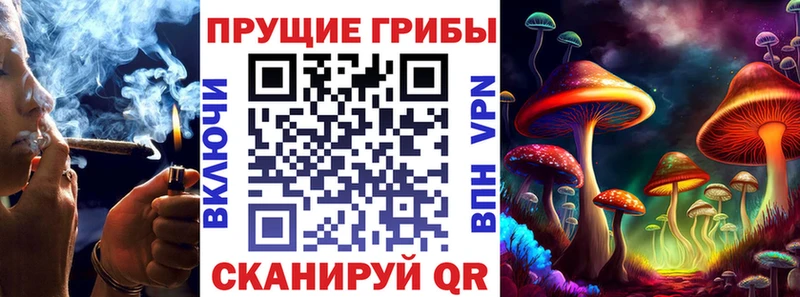 KRAKEN ссылки  Северо-Курильск  Псилоцибиновые грибы Cubensis 